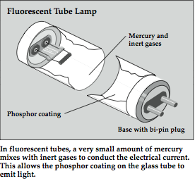 Base with bi-pin plug In fluorescent tubes, a very small amount of mercury mixes with inert gases to conduct the electrical current. This allows the phosphor coating on the glass tube to emit light.