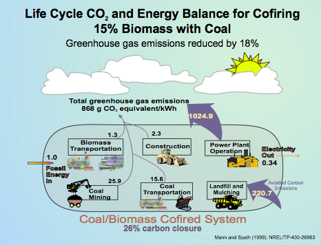 biomass-cofiring-balance.png